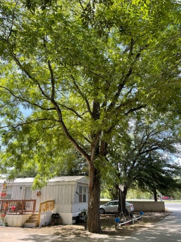 Foto del edificio - 3230 S Loop 1604 E