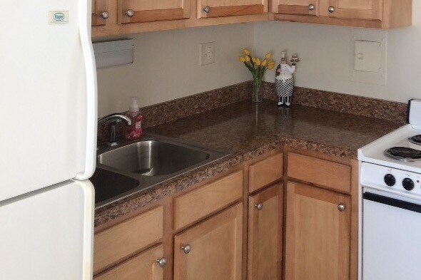 updated kitchens - 1107 W Hawthorne St