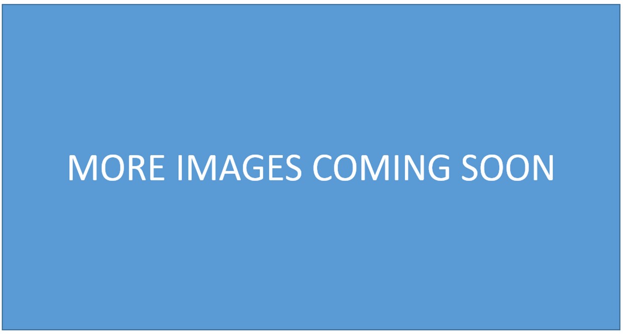 Building Photo - 2919 Sipsey Rd