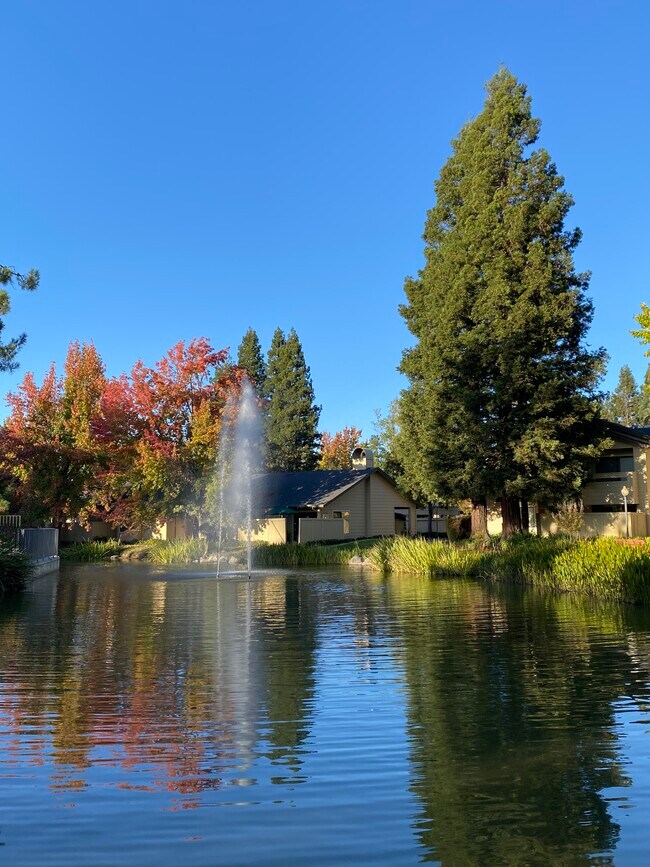 Foto del edificio - 1501 Woodlake Dr