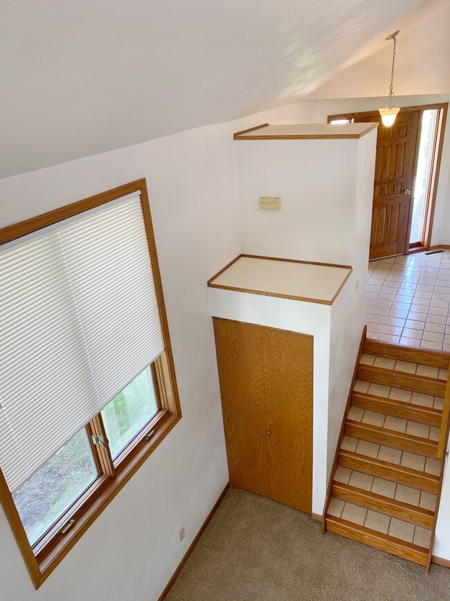 Building Photo - 41 Shamrock Ct