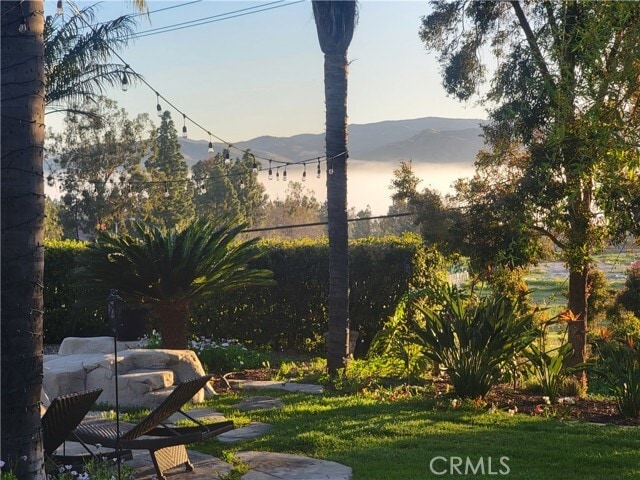 Foto del edificio - 10071 Highcliff Dr