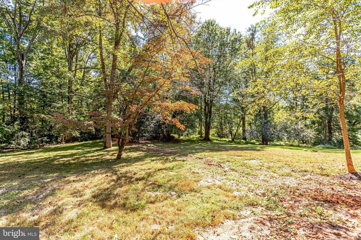 Primary Photo - 6087 Dumfries Rd