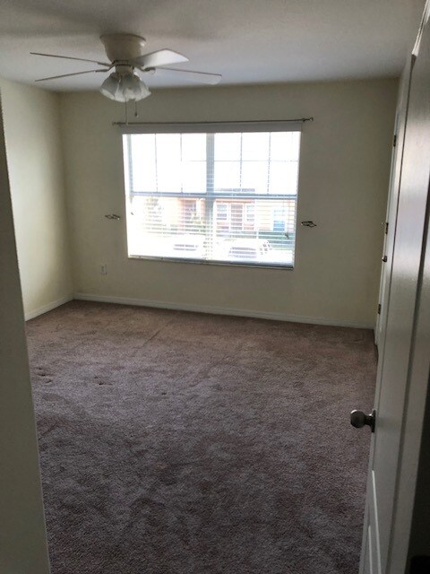 Building Photo - 4110 Shadetree Ln