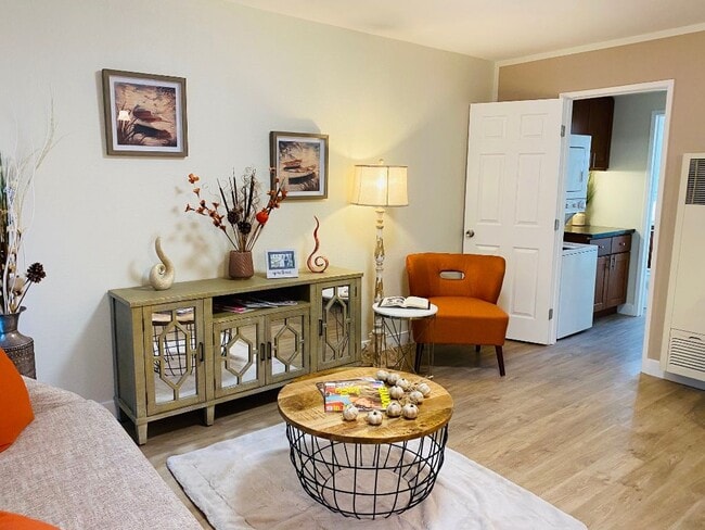 ! bed / 1 bath with W/D - The Court Apartments