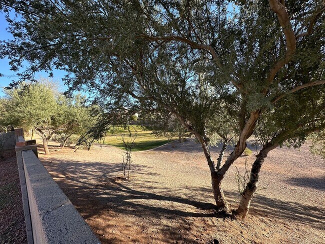 Building Photo - Spacious Home in East Mesa