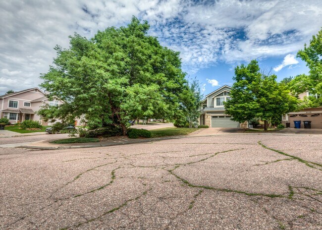 Building Photo - Spacious 5 Bedroom in D20 centrally located