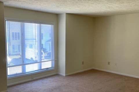 Foto del edificio - 81 Grandview Ave