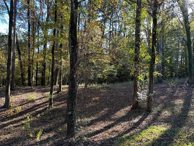 Building Photo - 1411 Caney Ln