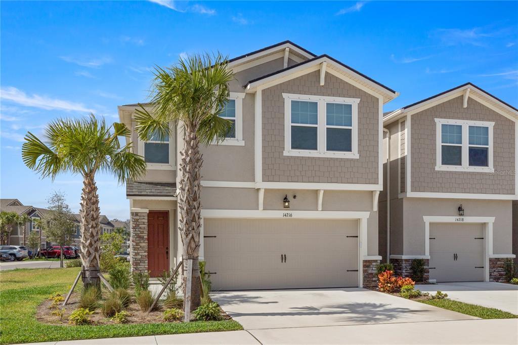 14216 Damselfly Dr, Citrus Park, FL 33625 Townhouse for Rent in