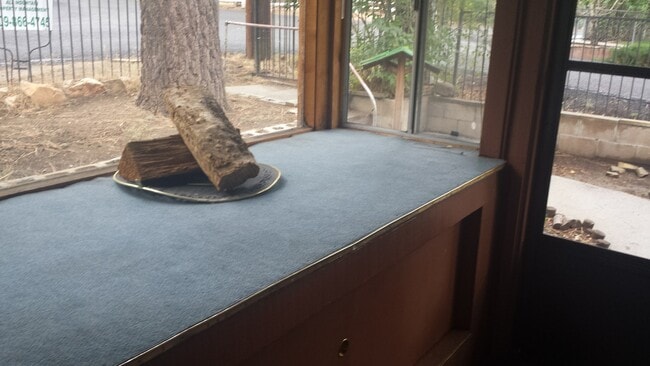 Foto del edificio - Single level 2 bedroom with 2 car garage