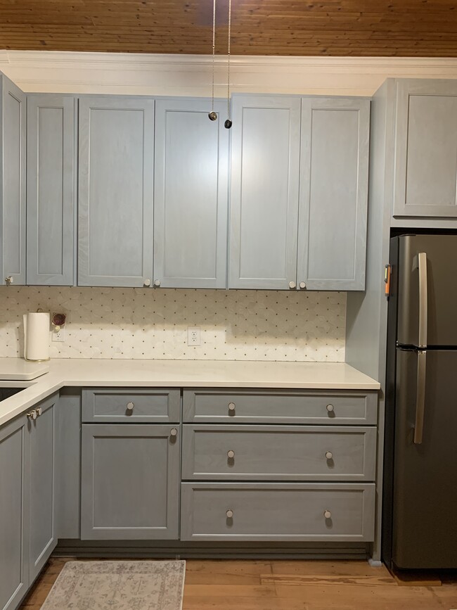 Newly renovated kitchen with plenty of storage - 1527 Leonidas St