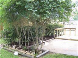 Foto del edificio - 16751 Colony Bend Dr