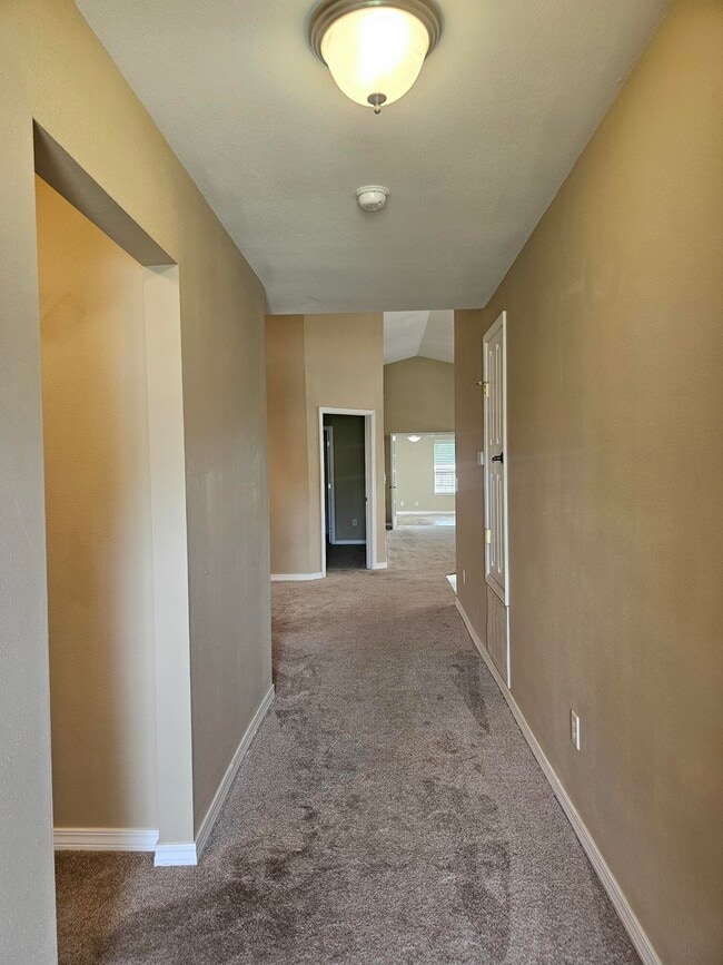 Building Photo - 4261 Armadillo Trail