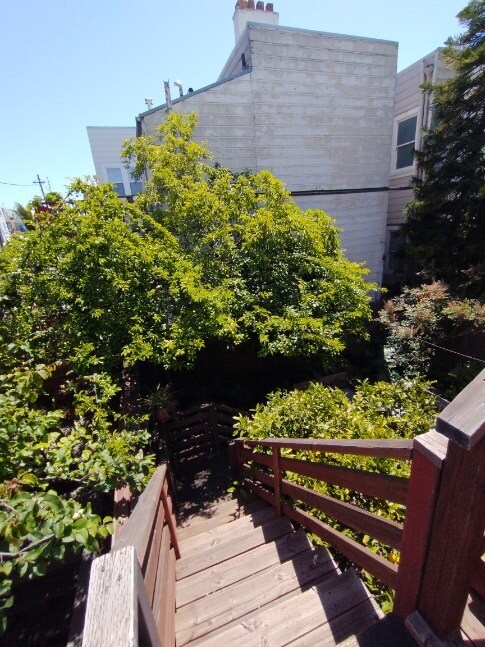 Backyard - 2521 19th St