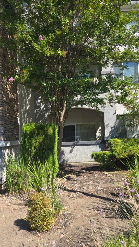 Building Photo - 701 Gibson Dr