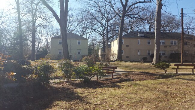 Pleasant community space behind building - 250 N Thomas St