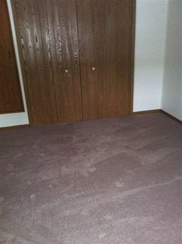 Building Photo - 1 br, 1 bath Apartment - Gateway -Wait List