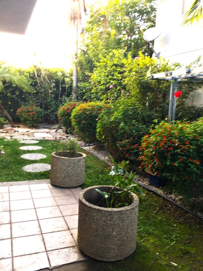 Jardín trasero - 555 W Lemon Ave