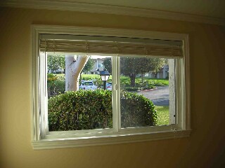 Foto del edificio - 237 Green Lea Pl