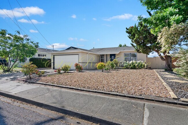 Foto del edificio - American Canyon Single Story Home!