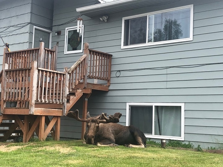 Photo - 3782 W 84th Ave (Anchorage, AK)