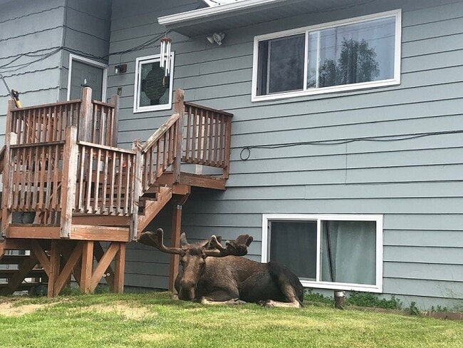 Photo - 3782 W 84th Ave Townhome