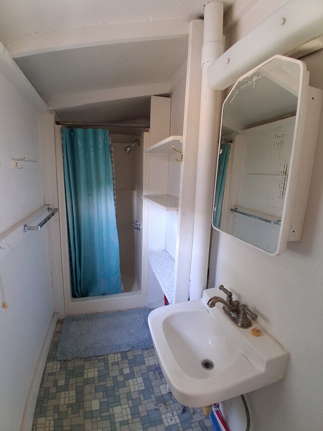 Bathroom - 217 Hiawatha St