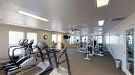 This fitness center offers a comprehensive workout environment designed to accommodate a wide range of exercise needs. The open layout provides ample space for movement between stations, with durable carpet flooring underfoot throughout the facility. On the cardio side, multiple treadmills and elliptical machines are positioned along the windowed wall, allowing users to enjoy natural light while exercising. Several windows line the perimeter, filling the space with daylight and contributing to an open, energizing atmosphere. A wall-mounted flat-screen television is available for entertainment during workouts. The strength training area features a multi-station cable machine along with a free weights section, including a dumbbell rack, offering options for both machine-based and free weight exercises. Large mirrors are mounted along the walls, enhancing the sense of space and allowing users to monitor their form. A ceiling fan provides additional air circulation, complementing the recessed and flush-panel lighting fixtures overhead. A wall clock keeps users on schedule, and glass-panel doors provide easy access to the exterior. Overall, the fitness center is thoughtfully arranged to deliver a functional and comfortable exercise experience.