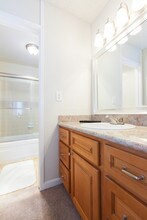 Guest Bathroom - Castlewood Apartments