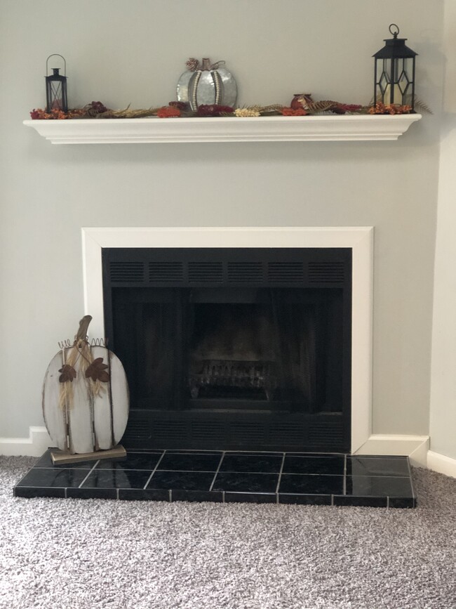 Wood burning Fireplace - 3874 Mack Rd