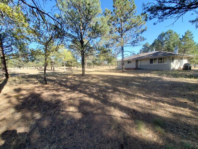 Building Photo - Stunning 4/2/2 Home in Black Forest!!!!
