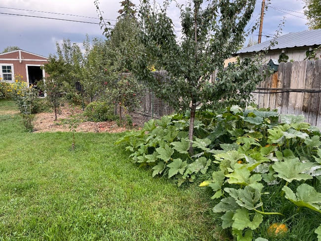 Building Photo - 1518 6th Ave W