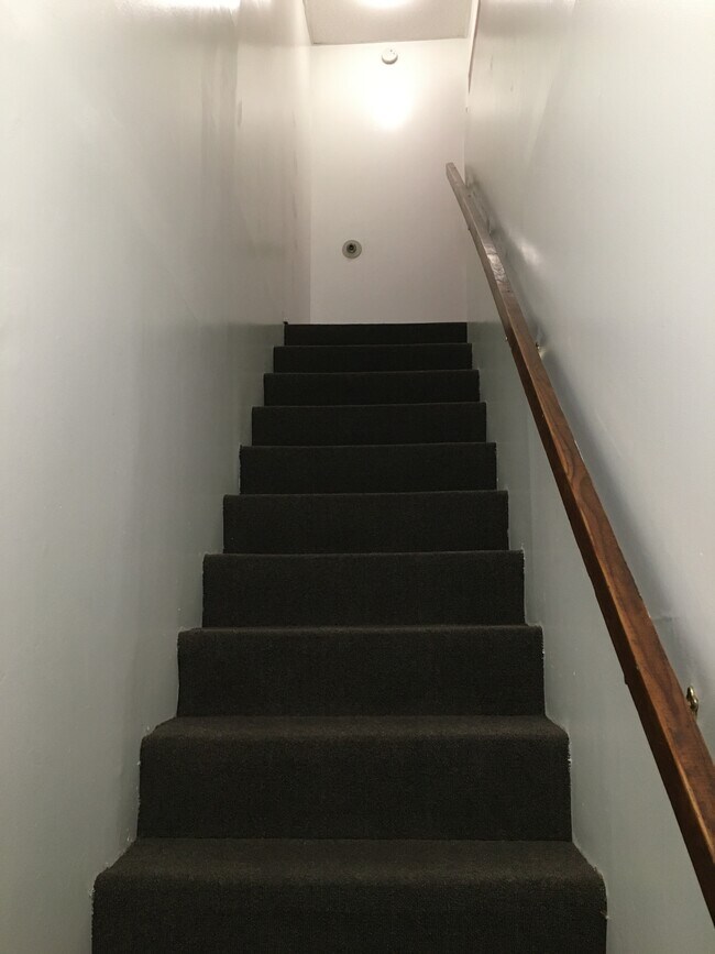 escalones de entrada - 1901 Woodland Rd