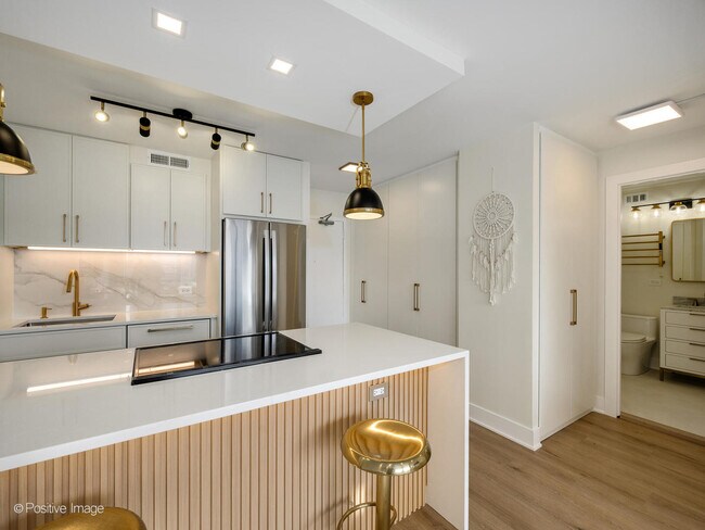 Foto del edificio - 1360 N Sandburg Terrace