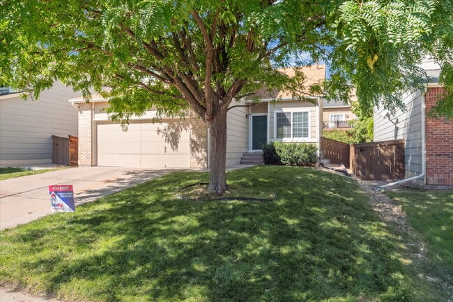 Freshly Renovated & Move-In Ready! - Freshly Renovated & Move-In Ready! Apartment