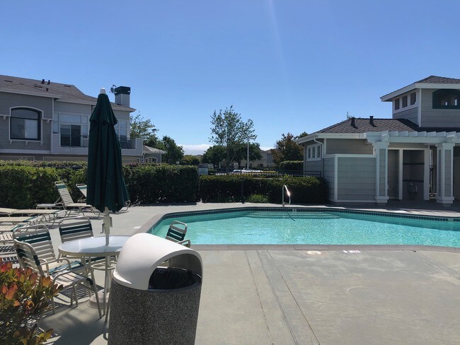 Piscina - 563 Shoal Cir