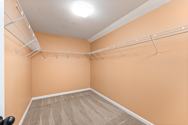 Building Photo - 3653 Arnsdale Dr