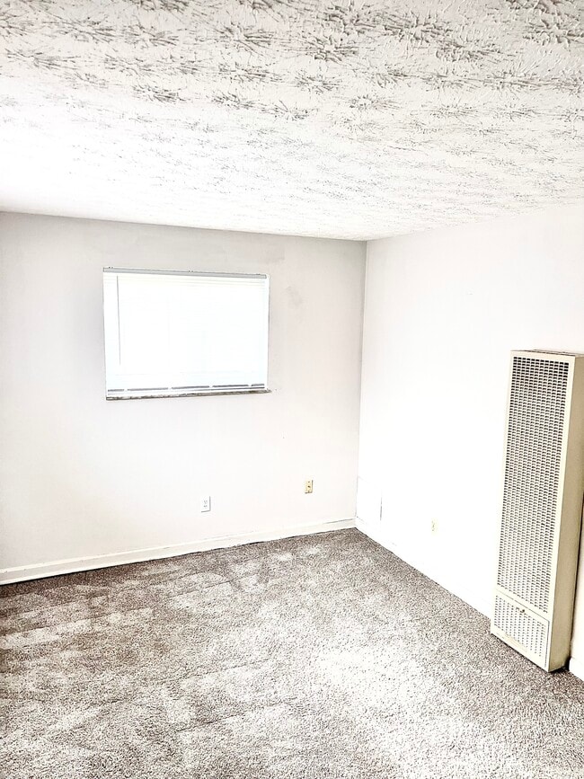 newly carpeted bedroom with closet and large windows - 1965 Vaughn St