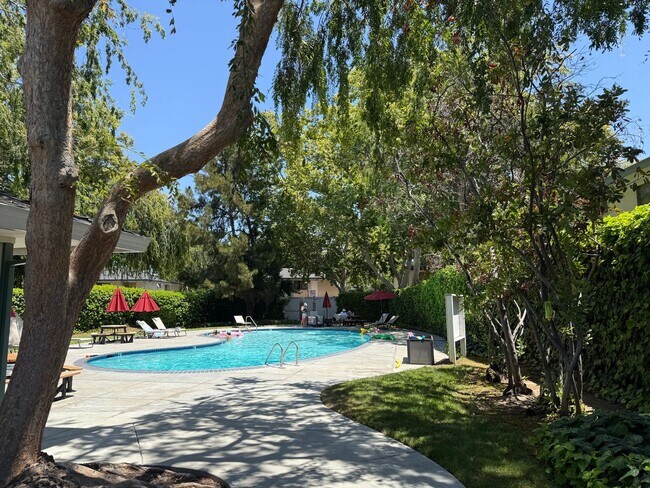 Foto del edificio - Campbell, walk to downtown, community pool