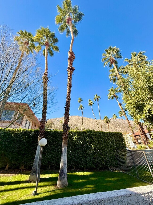 Foto del edificio - ASK ABOUT A MOVE IN SPECIAL!! South Palm Canyon Location - 3 Bedroom Condo - Long Term