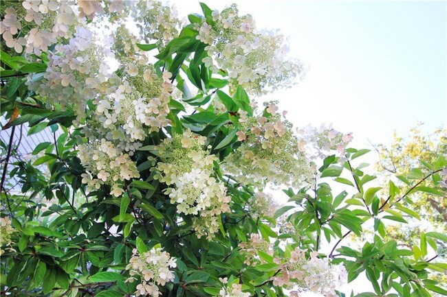 Building Photo - 22 Bateman Ave