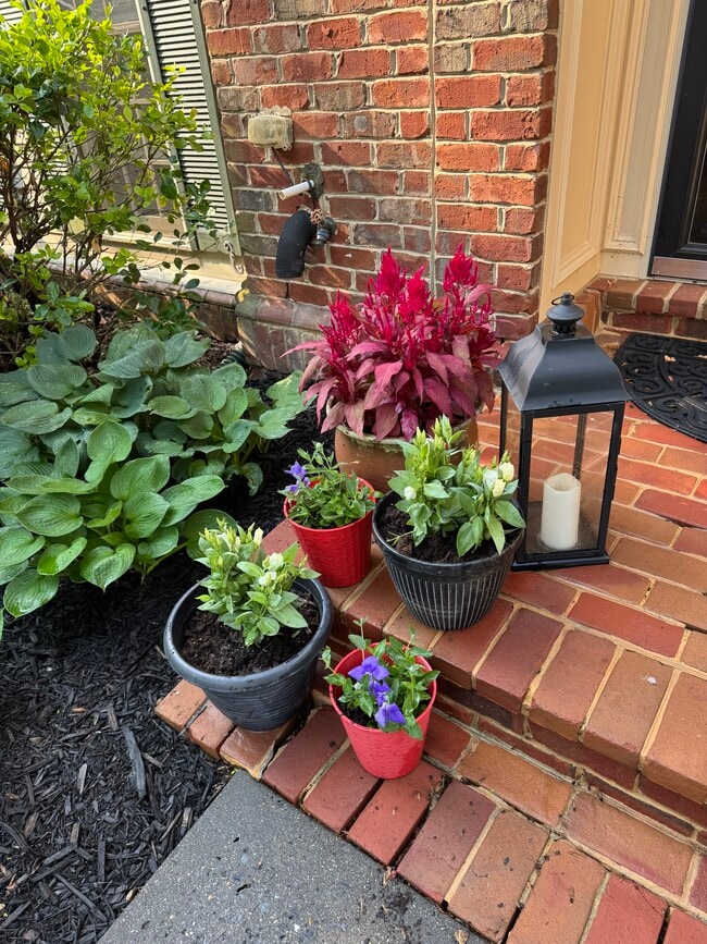 Photo - 11407 Iager Blvd Townhome