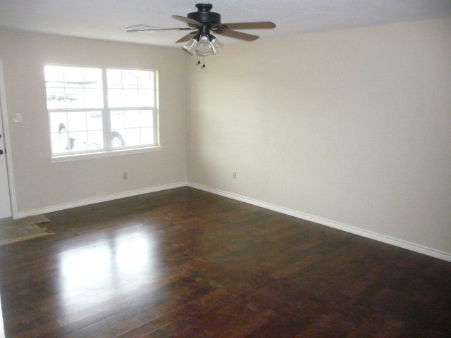 Building Photo - Newly Remodeled