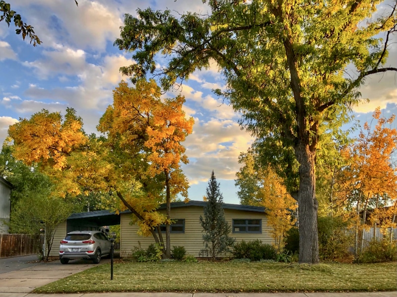 821 Juniper Ln, Fort Collins, CO 80526 House for Rent in Fort Collins