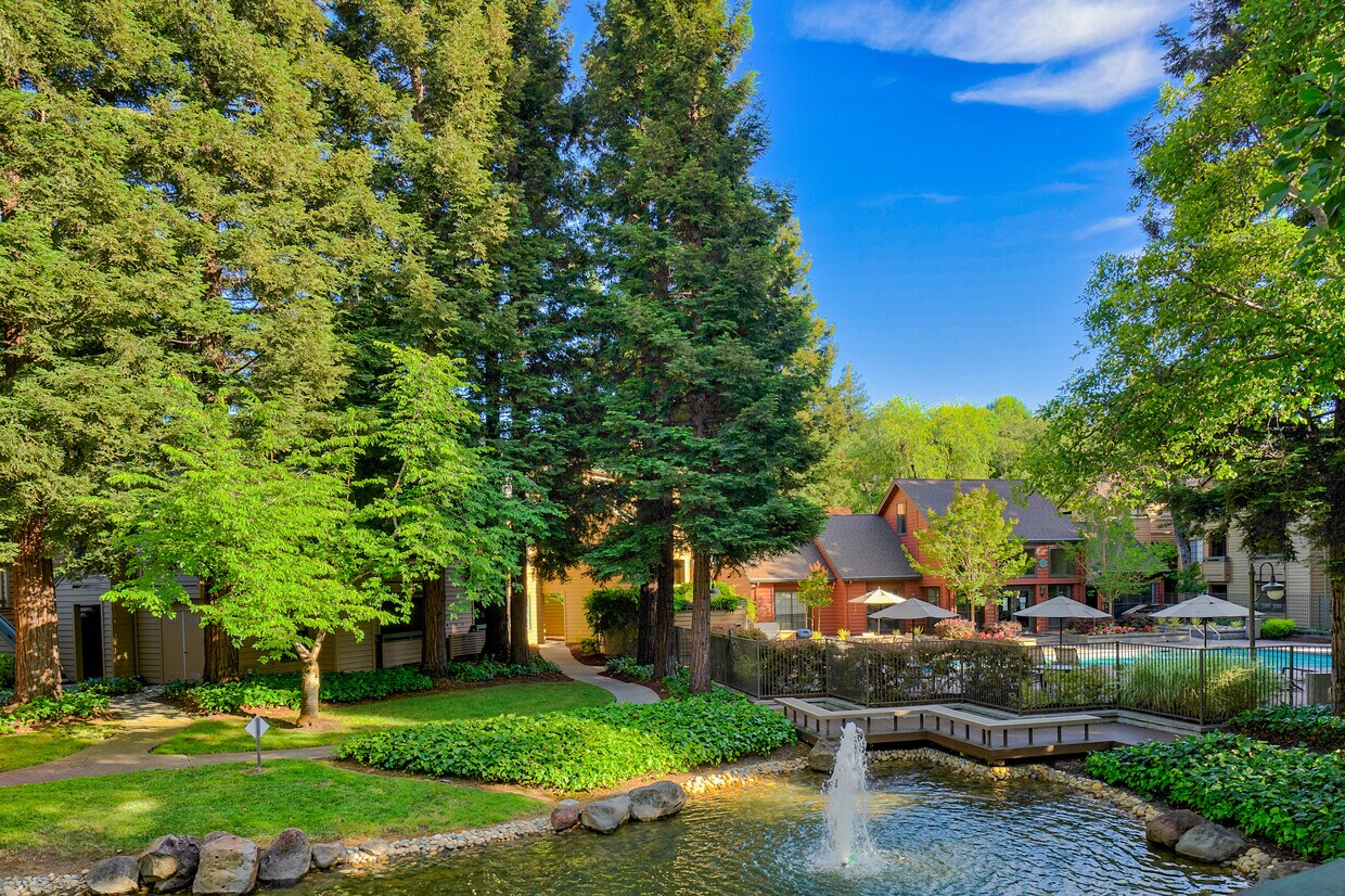 Shadow Creek Apartments Santa Rosa