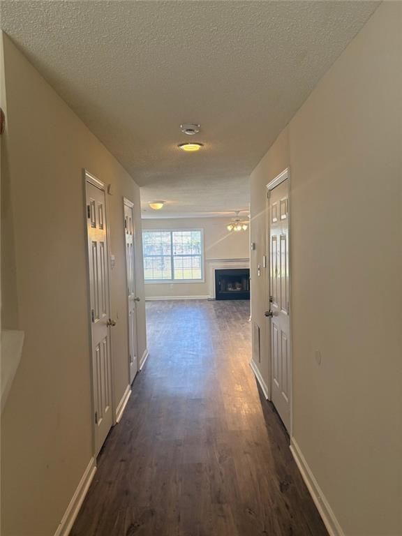 Building Photo - 3698 Sapphire Ct