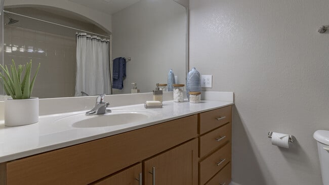 Foto del edificio - The Palmer