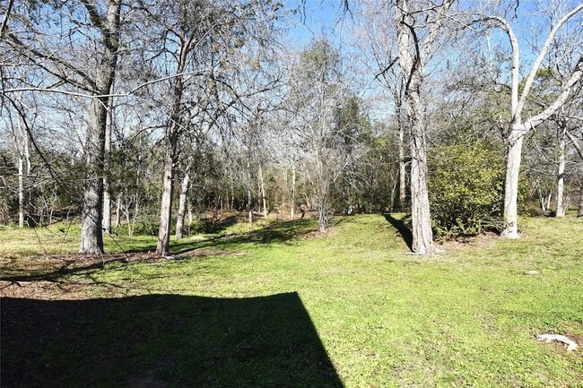 Foto del edificio - 215 Live Oak St