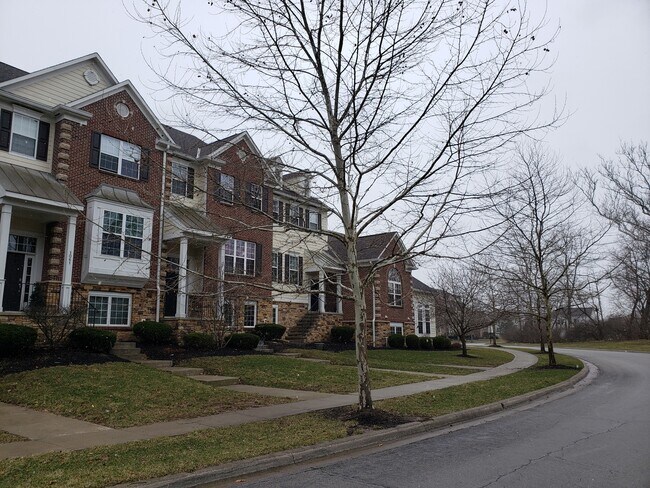 Foto del edificio - 1059 Bluffway Dr